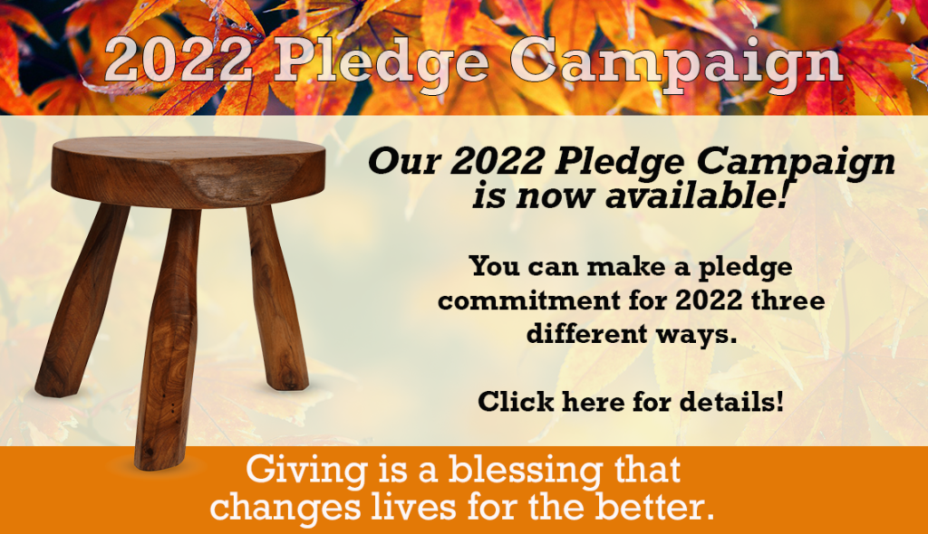 pledge22